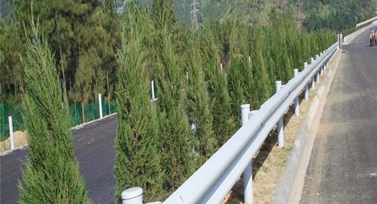 波形護(hù)欄板、鄉(xiāng)村道路護(hù)欄、單波護(hù)欄板世騰加工定制